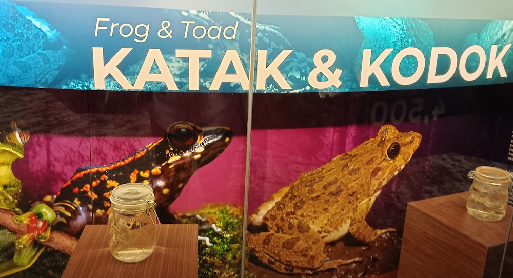 frog-in-jars-sultan-alam-shah-museum