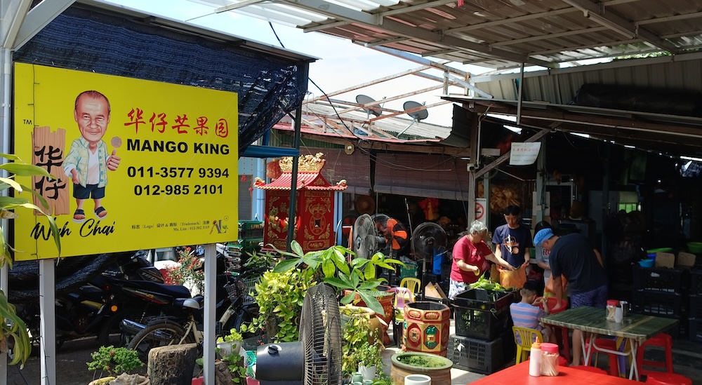 mango-king-sekinchan