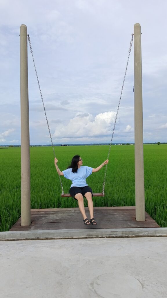 padi-field-sekinchan