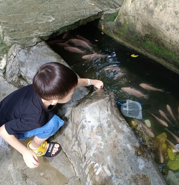 longkang-fishing-farm-in-the-city